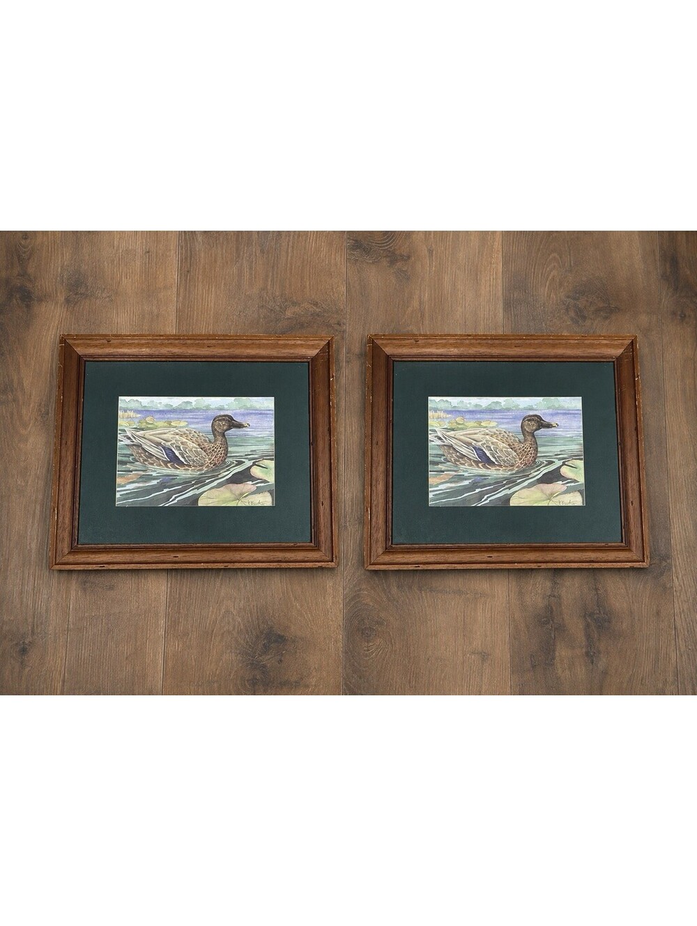 Set of 2 Paul Brent Wetland Mallard Female Framed Duck Prints Wall Art